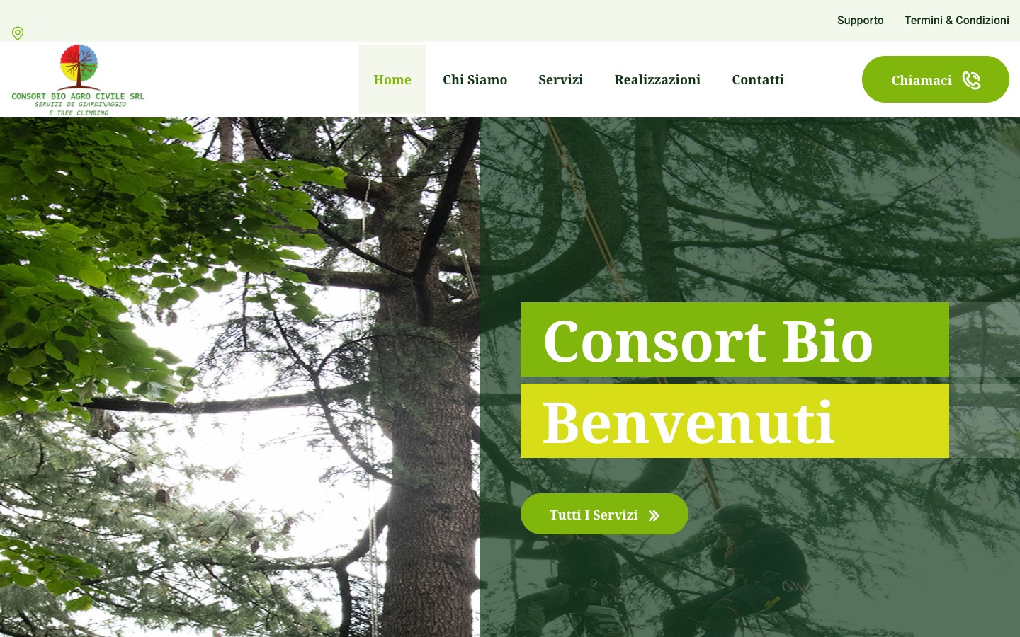Consortbio
